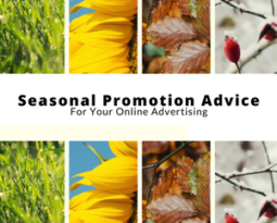 Seasonal Promotion